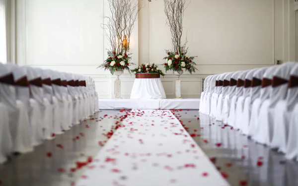 wedding petal man made room HD Desktop Wallpaper | Background Image