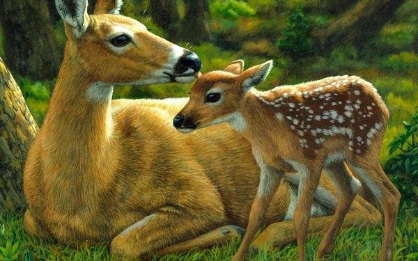 Animal Deer Fawn Forest Painting HD Wallpaper | Background Image