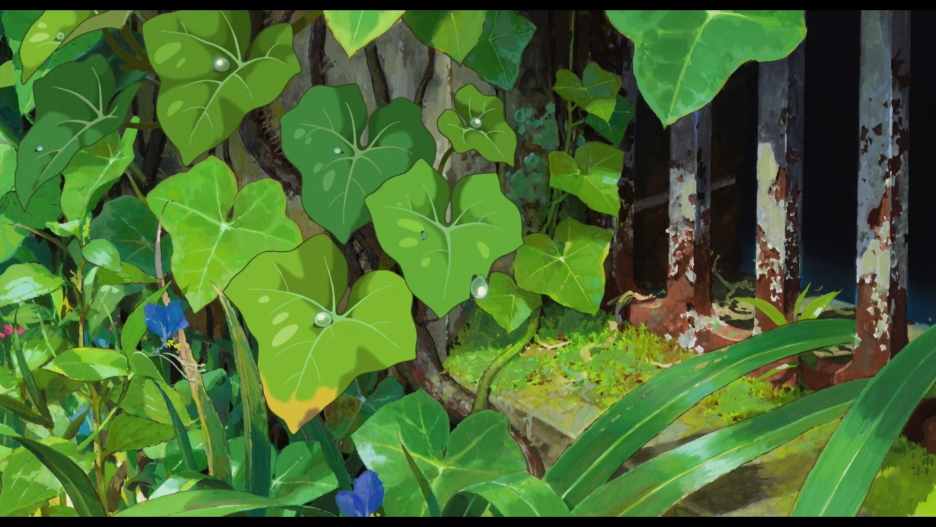 Download Anime The Secret World Of Arrietty HD Wallpaper