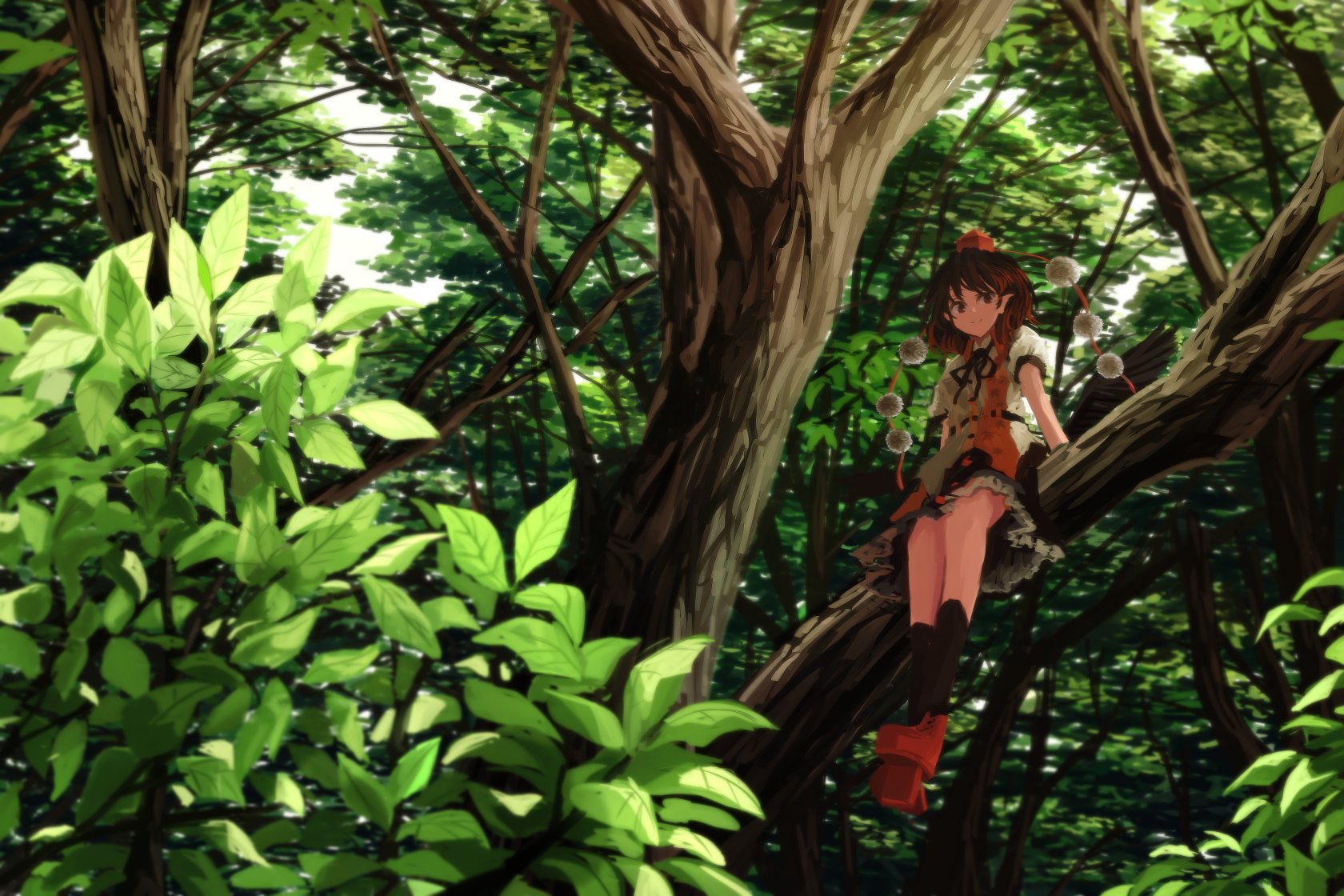 HD PC wallpaper of Aya Shameimaru (Touhou): short-haired, brown-eyed tengu with a hat and pointed ears perched on a tree branch in a sunlit forest.