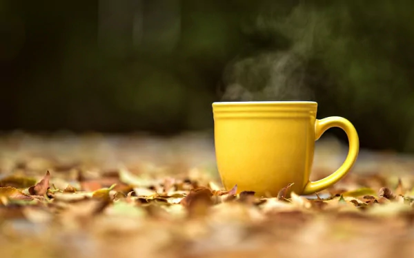 A steaming yellow cup amidst autumn leaves, serving as a tranquil HD desktop wallpaper and background.