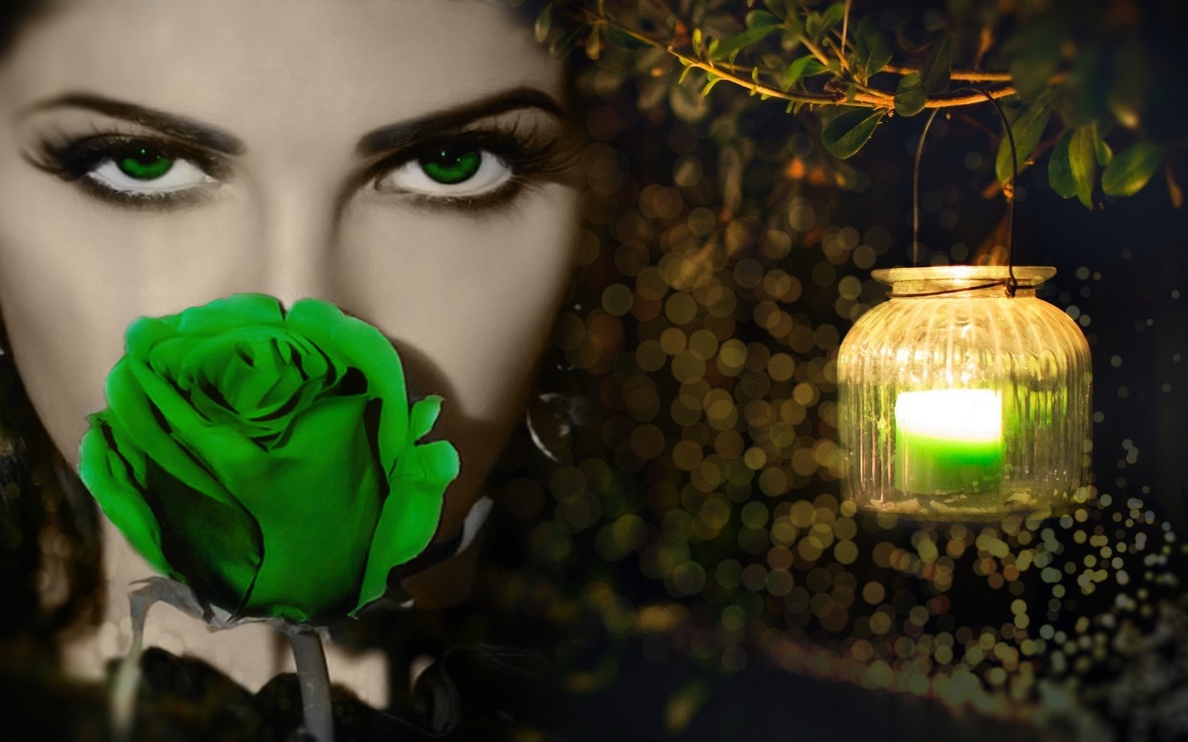 Download Lantern Green Eyes Rose Green Rose Fantasy Woman Wallpaper