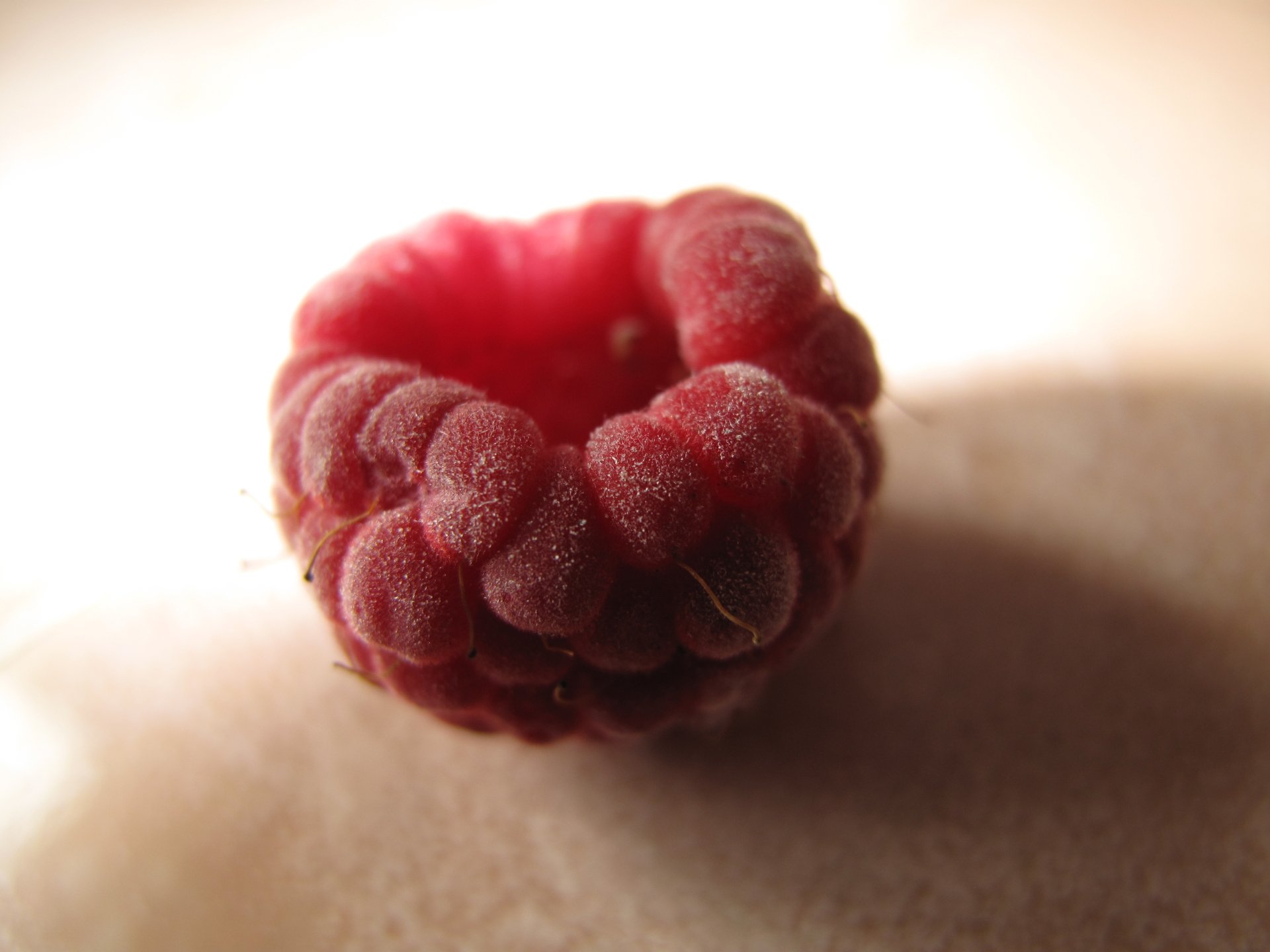 Download Close-up Fruit Berry Food Raspberry 4k Ultra HD Wallpaper