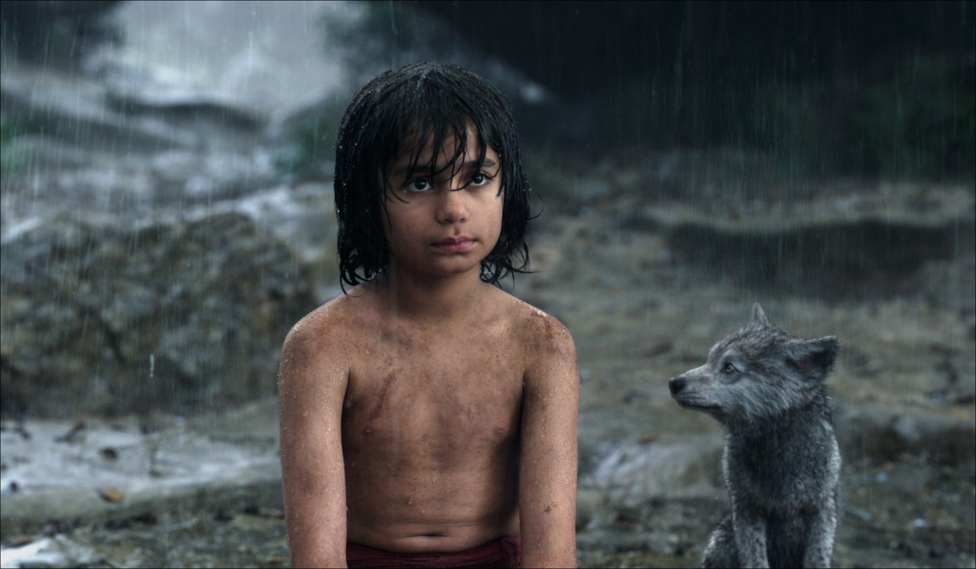 A scene from the movie The Jungle Book (2016), featuring a young boy sitting in the rain with a wolf pup, capturing the adventurous spirit of the film. HD desktop wallpaper.