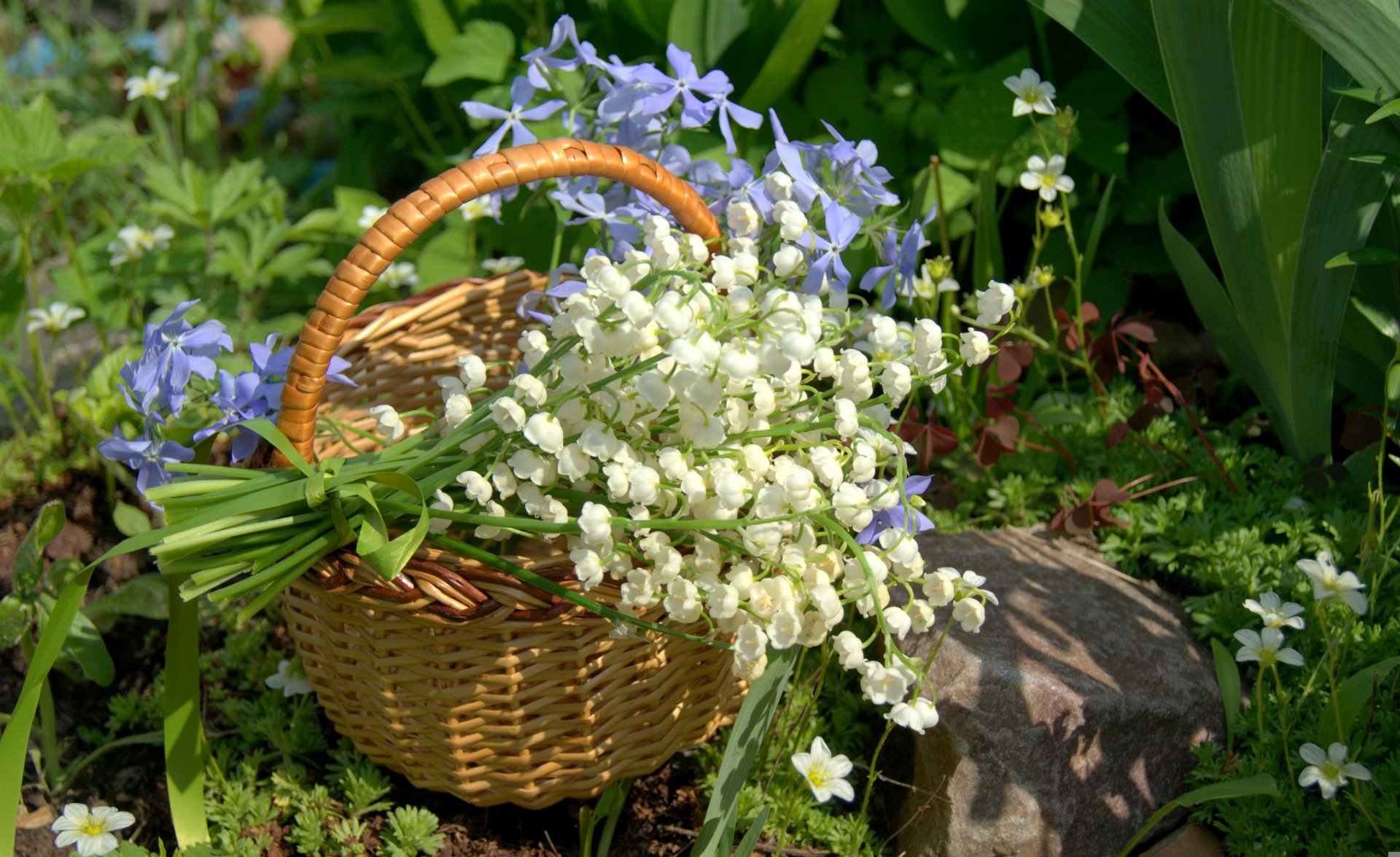 Lilies Of The Valley In Basket Hd Wallpaper Background Image