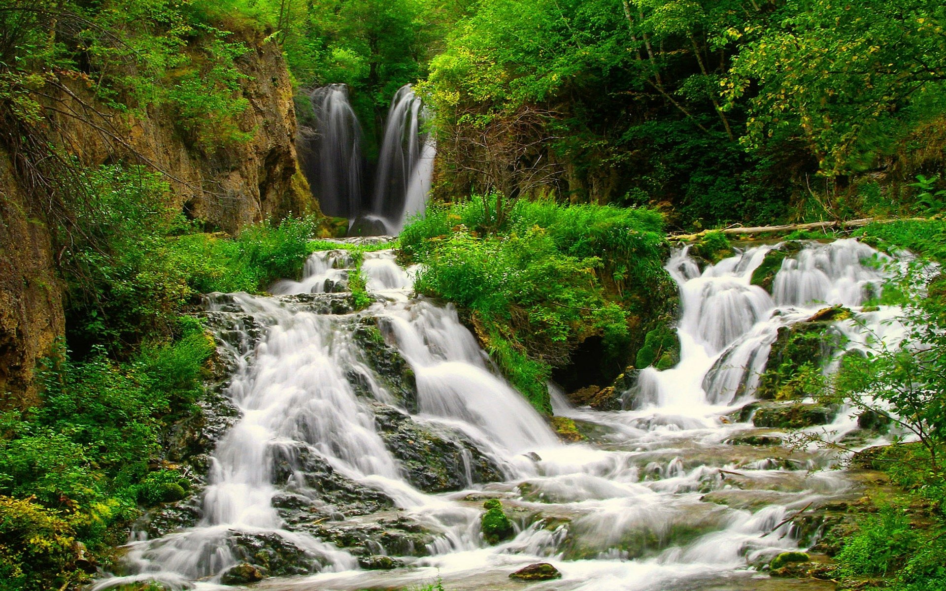 Download Tree Green Forest Nature Waterfall HD Wallpaper