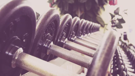 gym Sports HD Desktop Wallpaper | Background Image