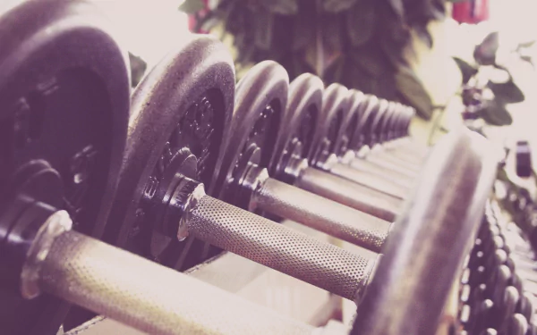gym Sports HD Desktop Wallpaper | Background Image