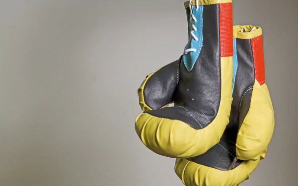  Photo of hanging boxing gloves by andreas160578