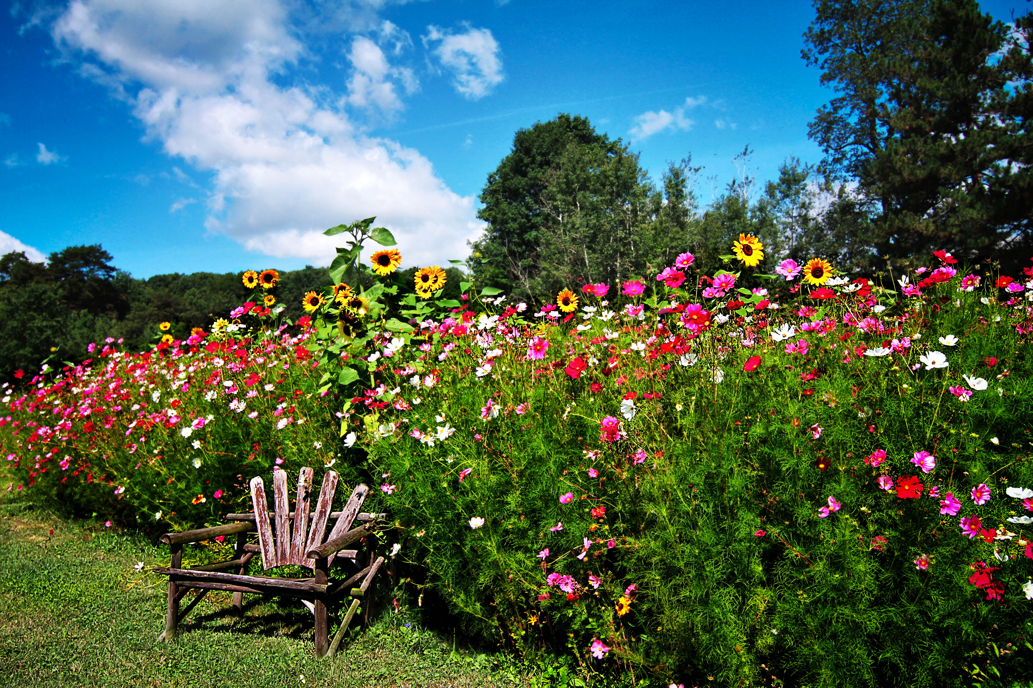 English Garden sculptures colorful house blossoms lawn HD wallpaper   Peakpx