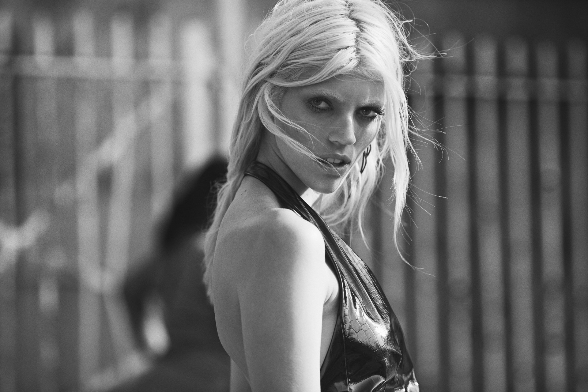 Download Black & White Blonde Model American Celebrity Devon Windsor HD Wallpaper