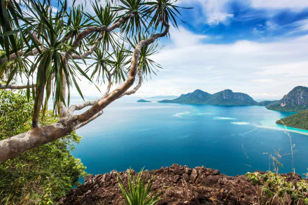 4K Ultra HD PC desktop wallpaper: tree-framed coastal view of Dulang Island, Malaysia, with rocky cliff and turquoise ocean beneath a bright blue sky.