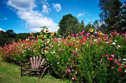 A HD desktop wallpaper showcasing a colorful, flower-filled English garden in spring with a rustic wooden chair in the foreground and a bright blue sky overhead.
