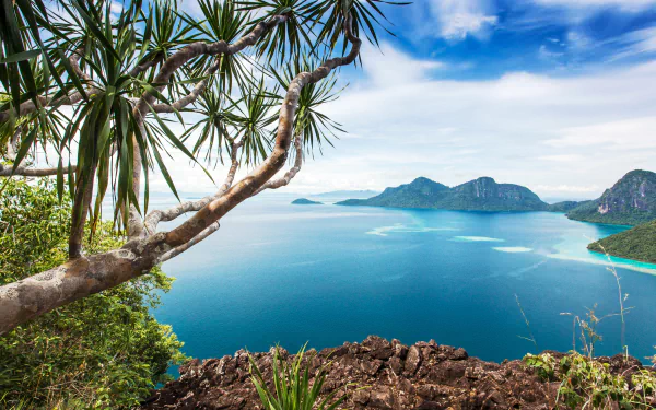4K Ultra HD PC desktop wallpaper: tree-framed coastal view of Dulang Island, Malaysia, with rocky cliff and turquoise ocean beneath a bright blue sky.