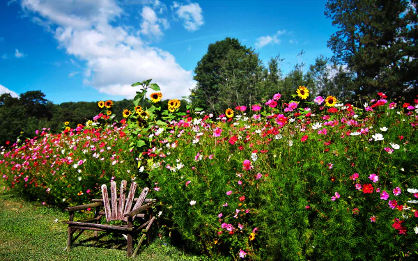 A HD desktop wallpaper showcasing a colorful, flower-filled English garden in spring with a rustic wooden chair in the foreground and a bright blue sky overhead.