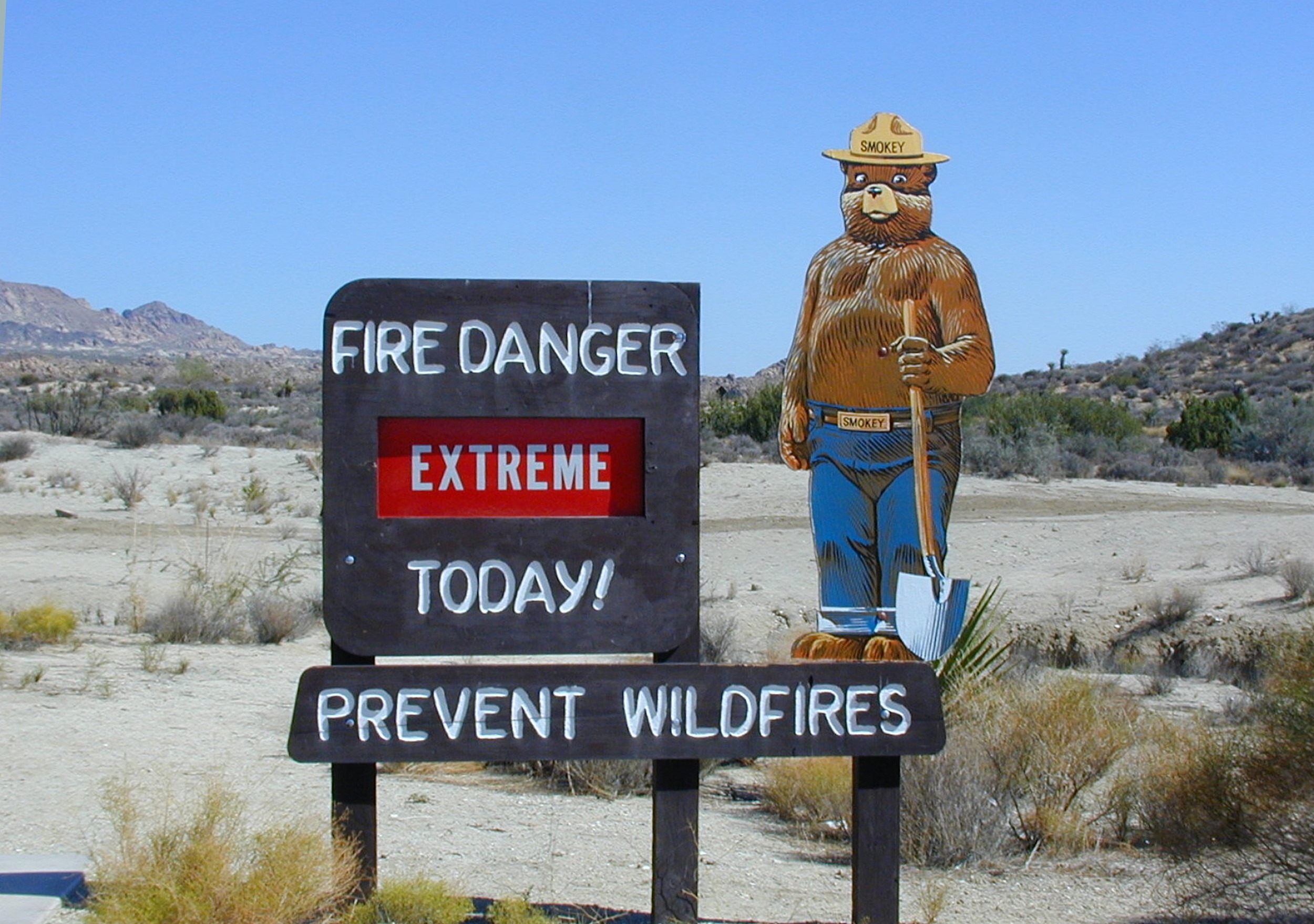 Smokey bear says - Fire warning, prevent wildfires by FraukeFeind