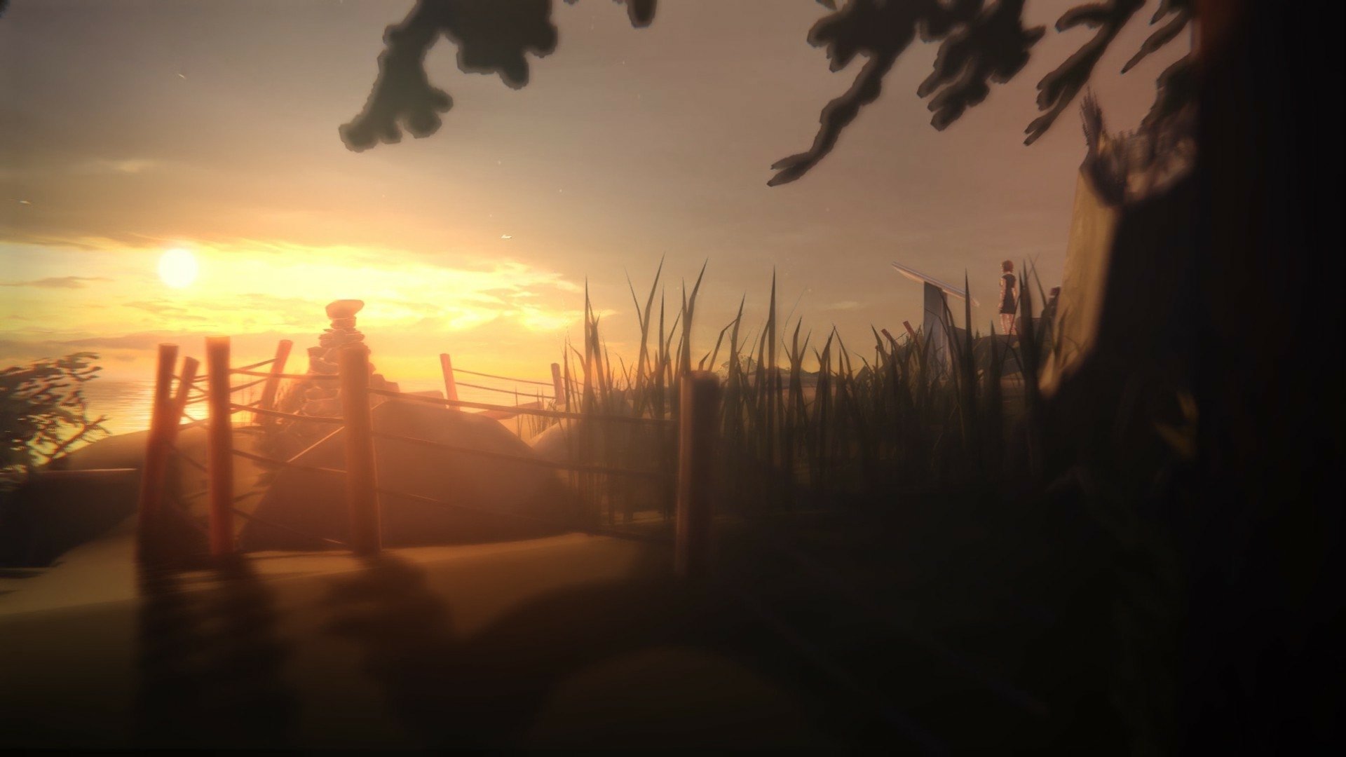 A serene landscape wallpaper featuring Max Caulfield from the video game Life Is Strange, showcasing a sunset behind a rustic scene with silhouetted vegetation.
