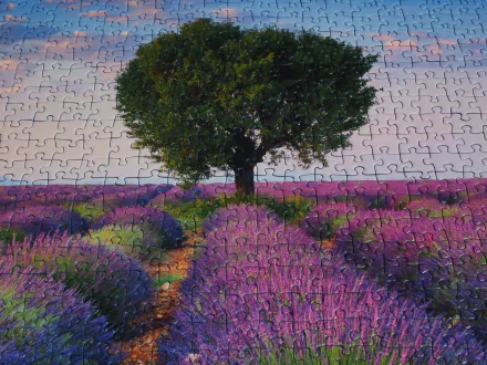 HD PC wallpaper: solitary tree standing amid purple lavender fields, rows of flowers with a man-made puzzle-piece overlay and subtle image manipulation.