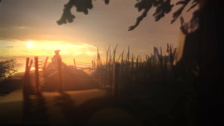 A serene landscape wallpaper featuring Max Caulfield from the video game Life Is Strange, showcasing a sunset behind a rustic scene with silhouetted vegetation.