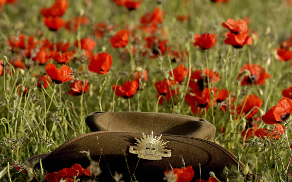HD PC desktop wallpaper background: an army slouch hat with Rising Sun badge lying among red poppy flowers, honoring the ANZAC Day holiday.