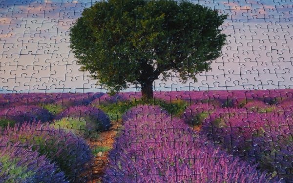 Game Puzzle Manipulation Tree Lavender Flower Lonely Tree Nature Purple HD Wallpaper | Background Image