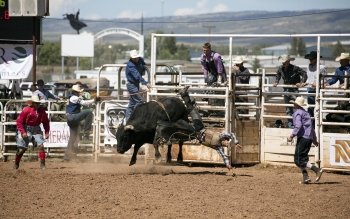 16 Rodeo HD Wallpapers | Background Images - Wallpaper Abyss
