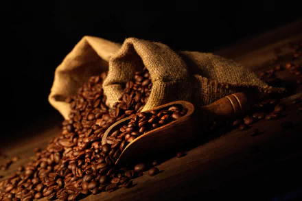 5K Ultra HD PC desktop wallpaper of roasted coffee beans (food/coffee) spilling from burlap sacks with a wooden scoop, bathed in warm, rich brown tones.