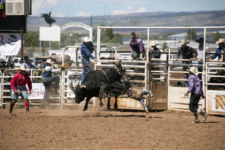 HD rodeo sports wallpaper showing a cowboy riding a bull in an arena, surrounded by rodeo clowns and spectators in a dynamic action scene.