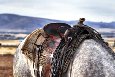 HD desktop wallpaper: man-made leather saddle on a gray horse, ornate tooling and tack set against an open prairie backdrop.