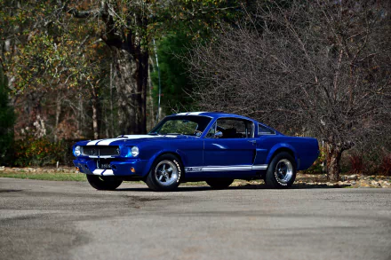 muscle car Shelby Mustang GT 350SR vehicle Shelby Mustang GT 350 HD Desktop Wallpaper | Background Image