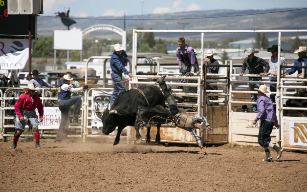 HD rodeo sports wallpaper showing a cowboy riding a bull in an arena, surrounded by rodeo clowns and spectators in a dynamic action scene.