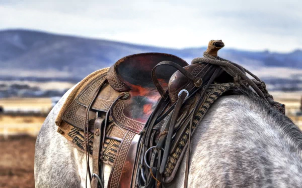HD desktop wallpaper: man-made leather saddle on a gray horse, ornate tooling and tack set against an open prairie backdrop.