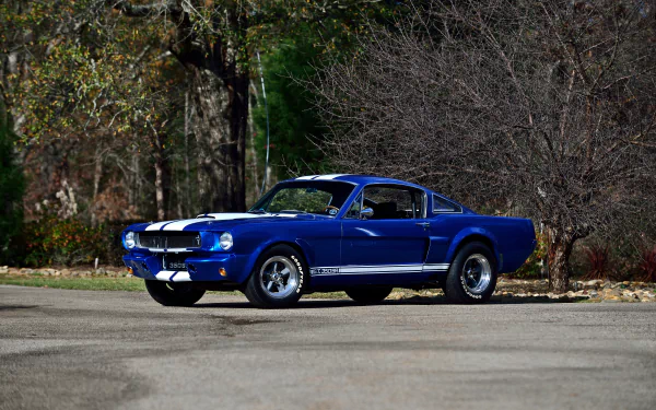 muscle car Shelby Mustang GT 350SR vehicle Shelby Mustang GT 350 HD Desktop Wallpaper | Background Image