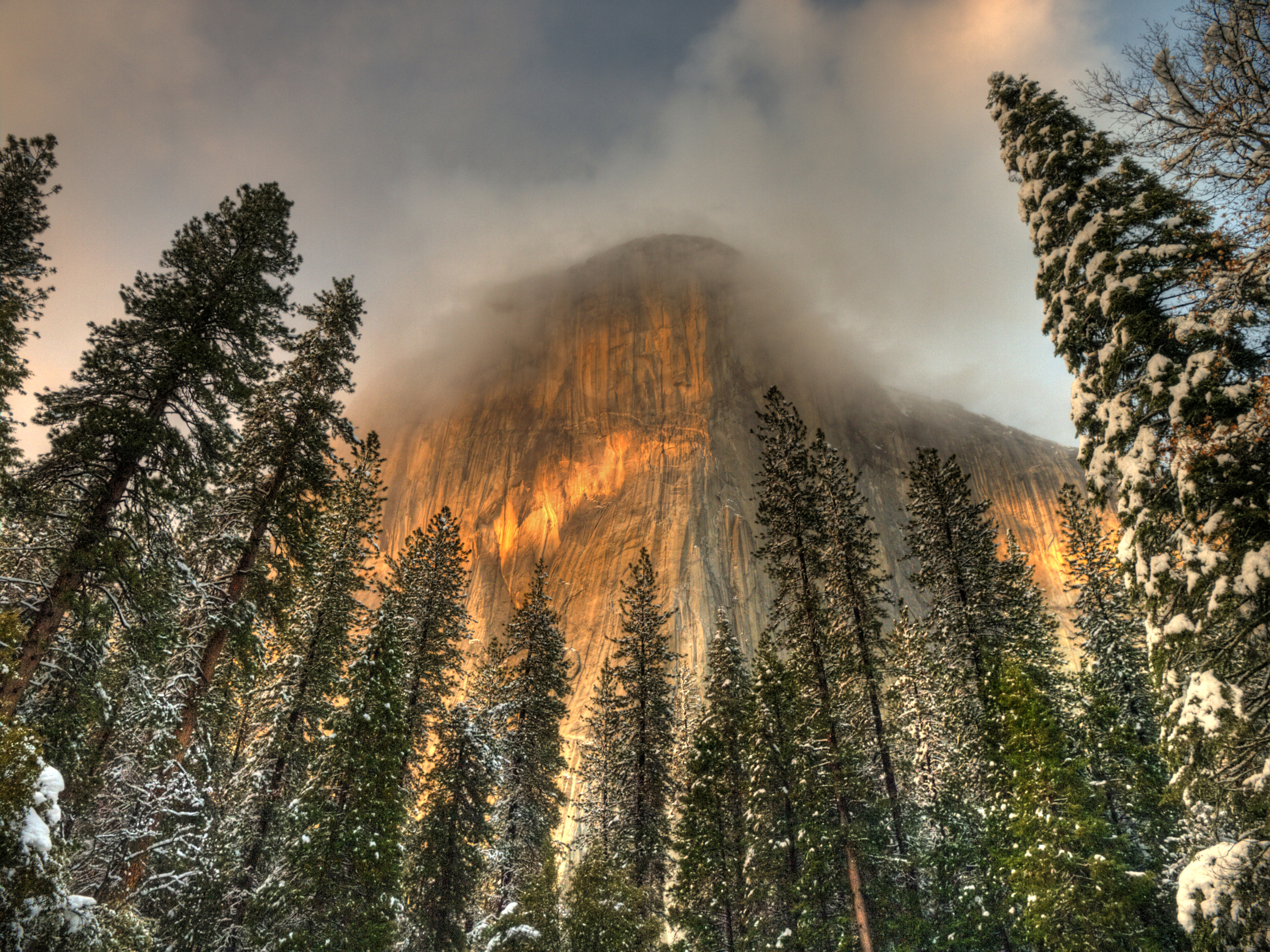 Nature Yosemite National Park HD Wallpaper | Background Image