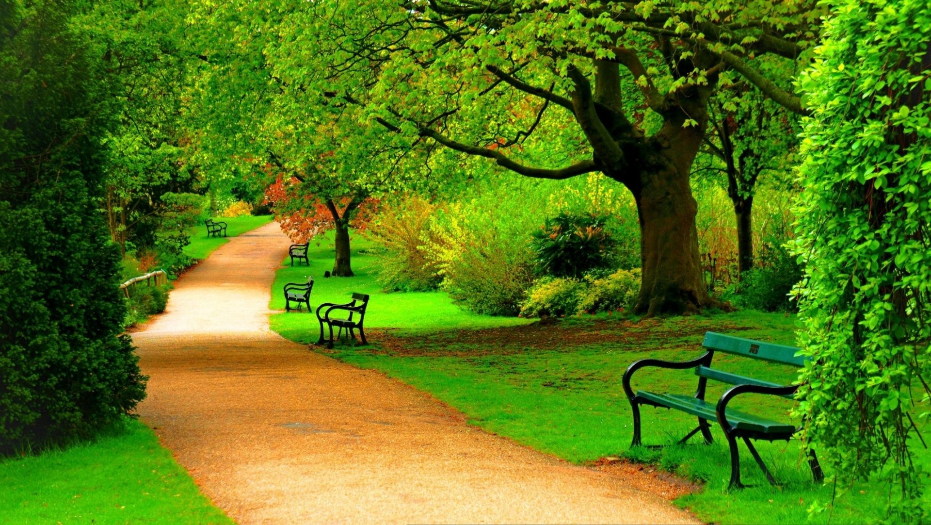 Benches In Green Spring Park Hd Wallpaper Background Image 2130x1200