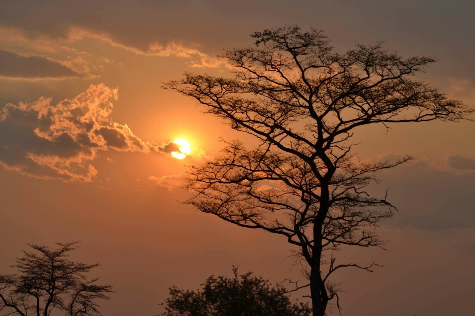 African Sunset Fondo de pantalla HD | Fondo de Escritorio ...