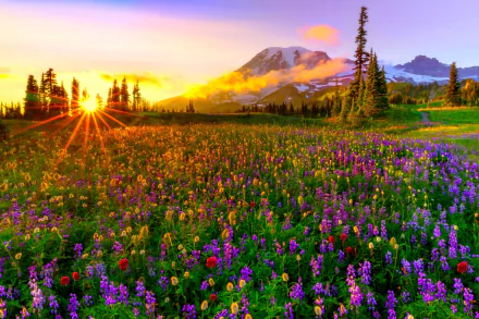 A vibrant field of wildflowers under a stunning sunset, framed by mountains and trees, captures the essence of spring and the beauty of nature in this HD landscape wallpaper.