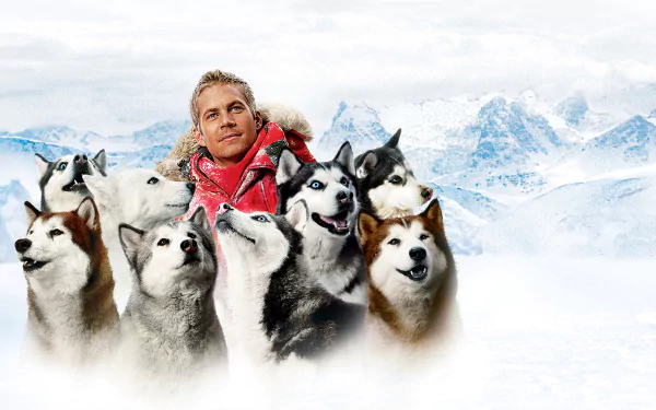 Paul Walker movie Eight Below HD Desktop Wallpaper | Background Image