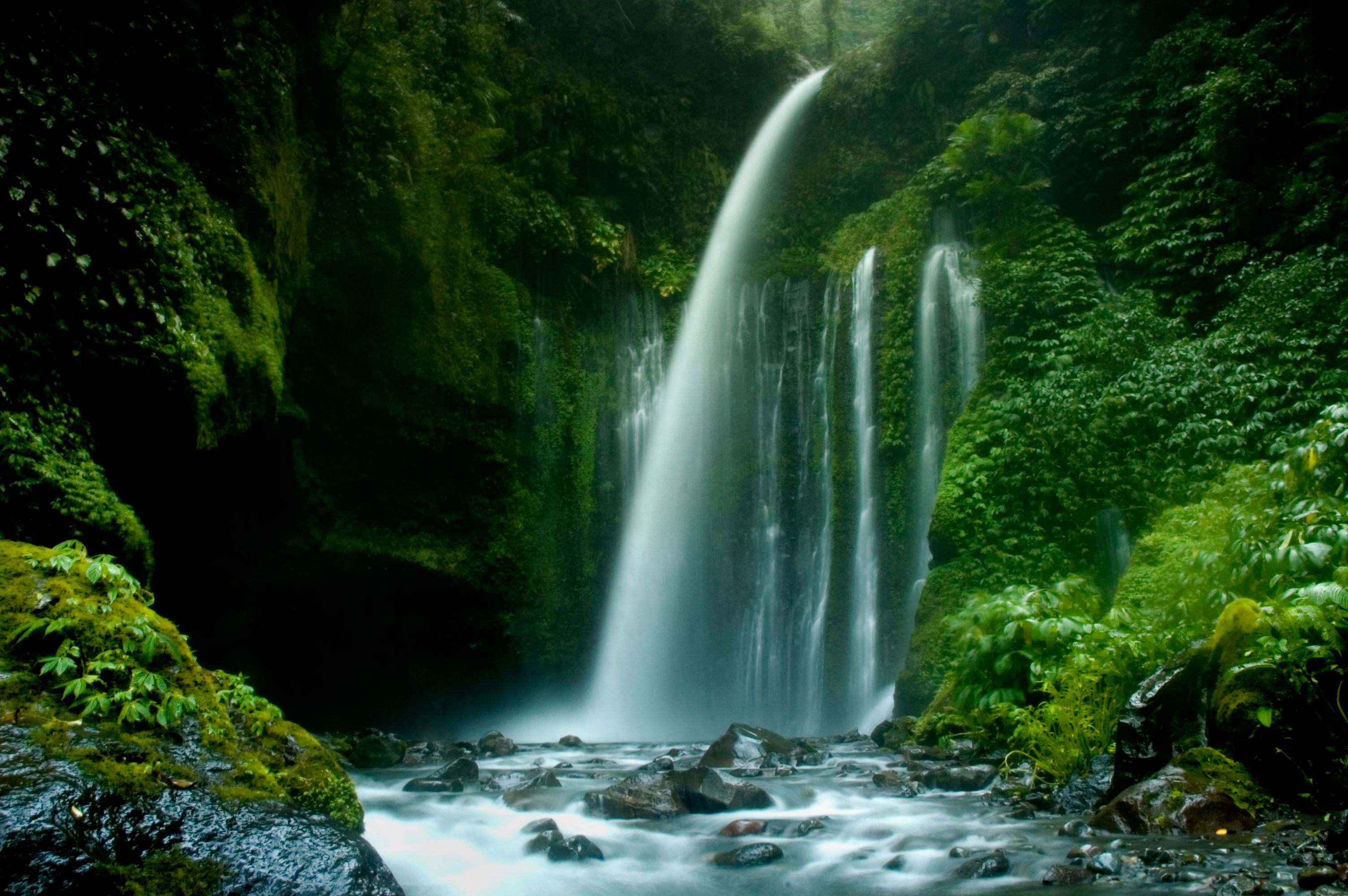 Green Forest Waterfall HD Wallpaper | Background Image | 3008x2000 | ID