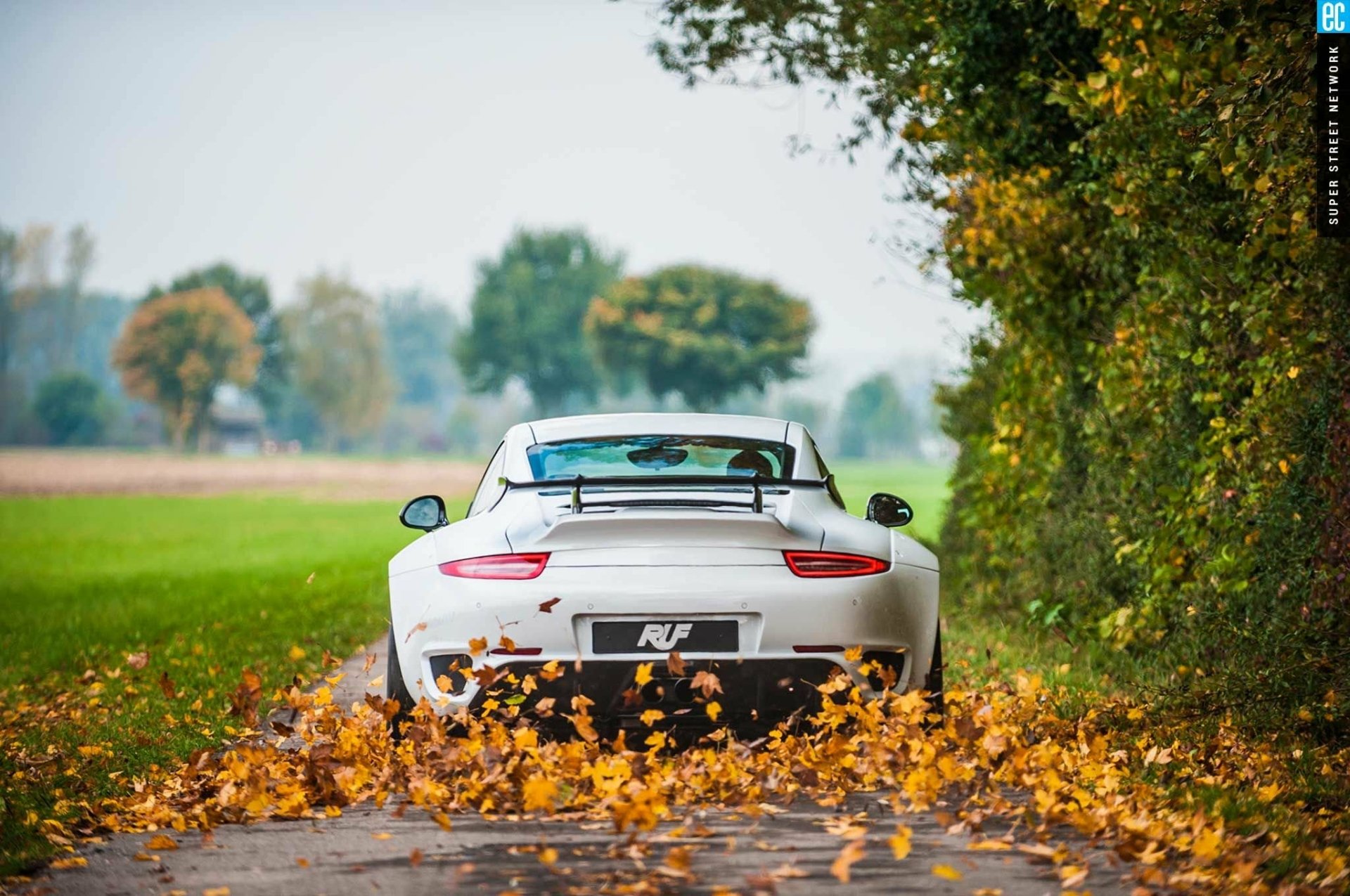 Porsche 911 autumn