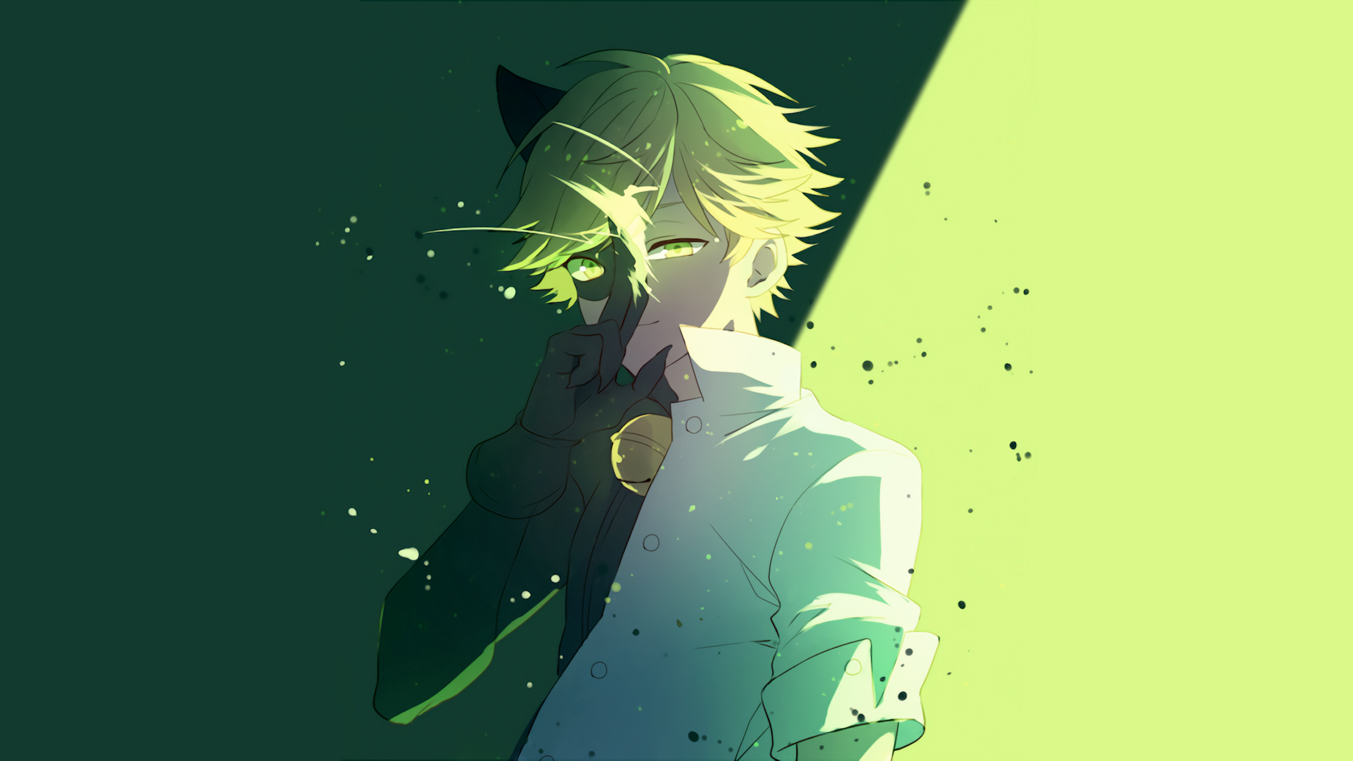 Adrien Agreste/Cat Noir HD Wallpaper | Background Image ...