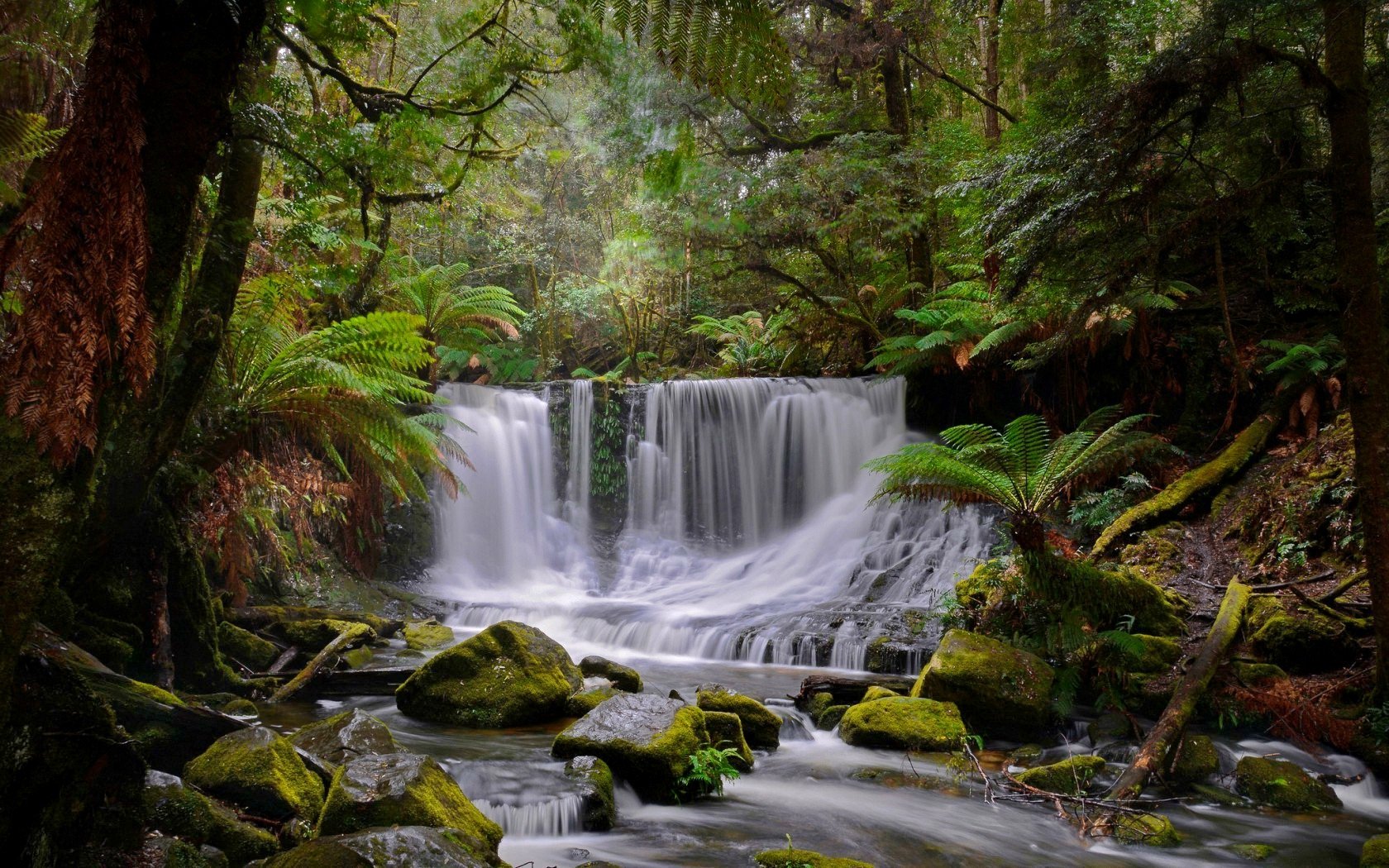 Waterfall in Forest