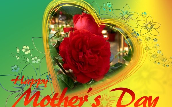 Holiday Mother's Day Flower Heart Red Flower Rose HD Wallpaper | Background Image