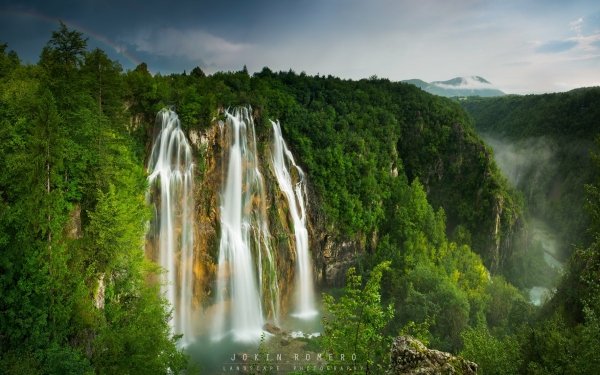 Earth Waterfall Waterfalls Green Tree HD Wallpaper | Background Image