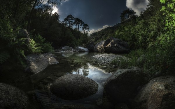 Earth River Tree Water HD Wallpaper | Background Image