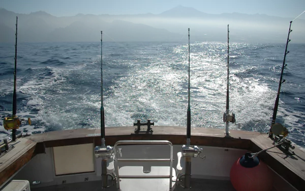  Deep sea fishing rods by Ola_Qc