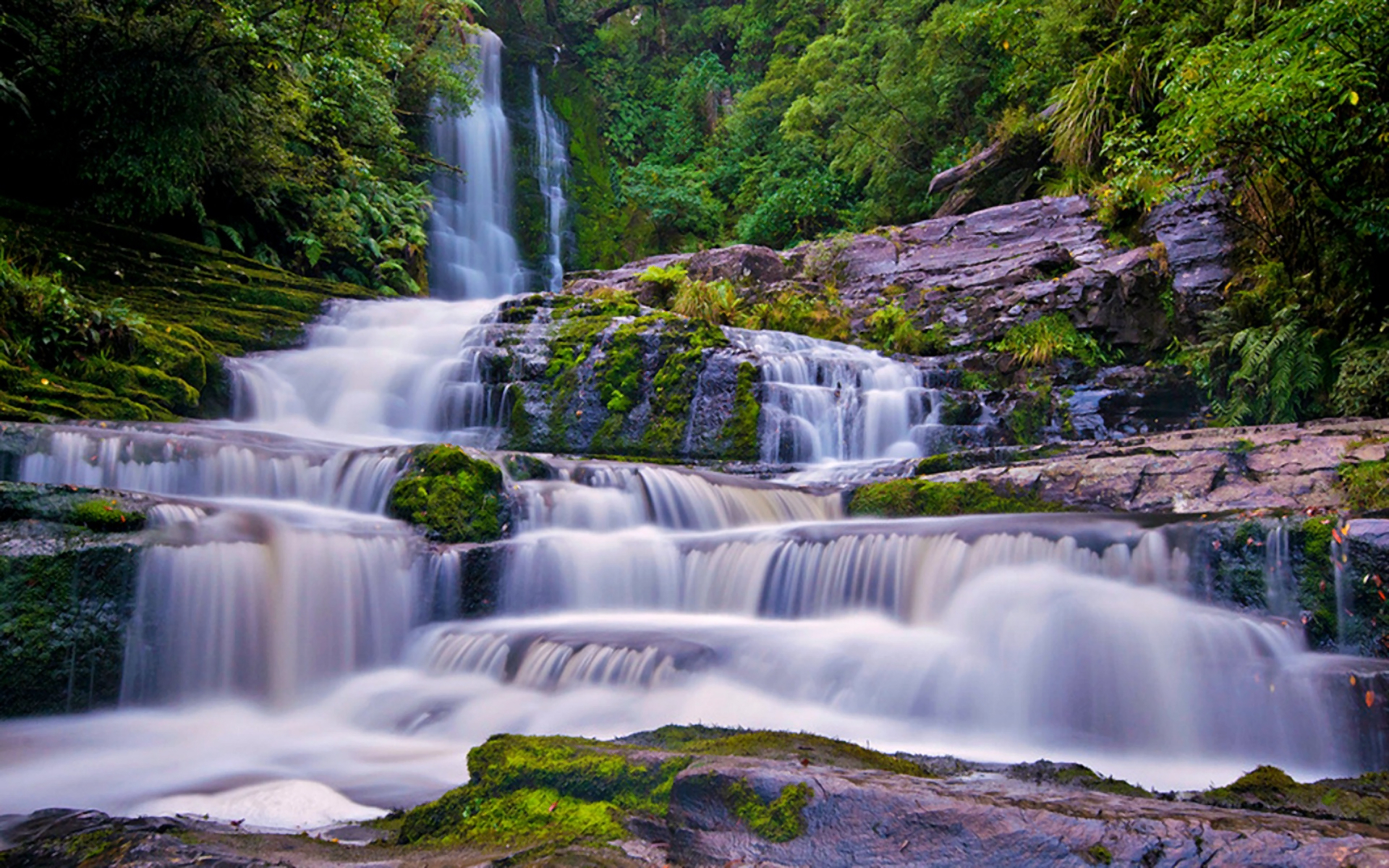 A Guide to The Catlins, New Zealand's Best Kept Secret - Voyageur Tripper