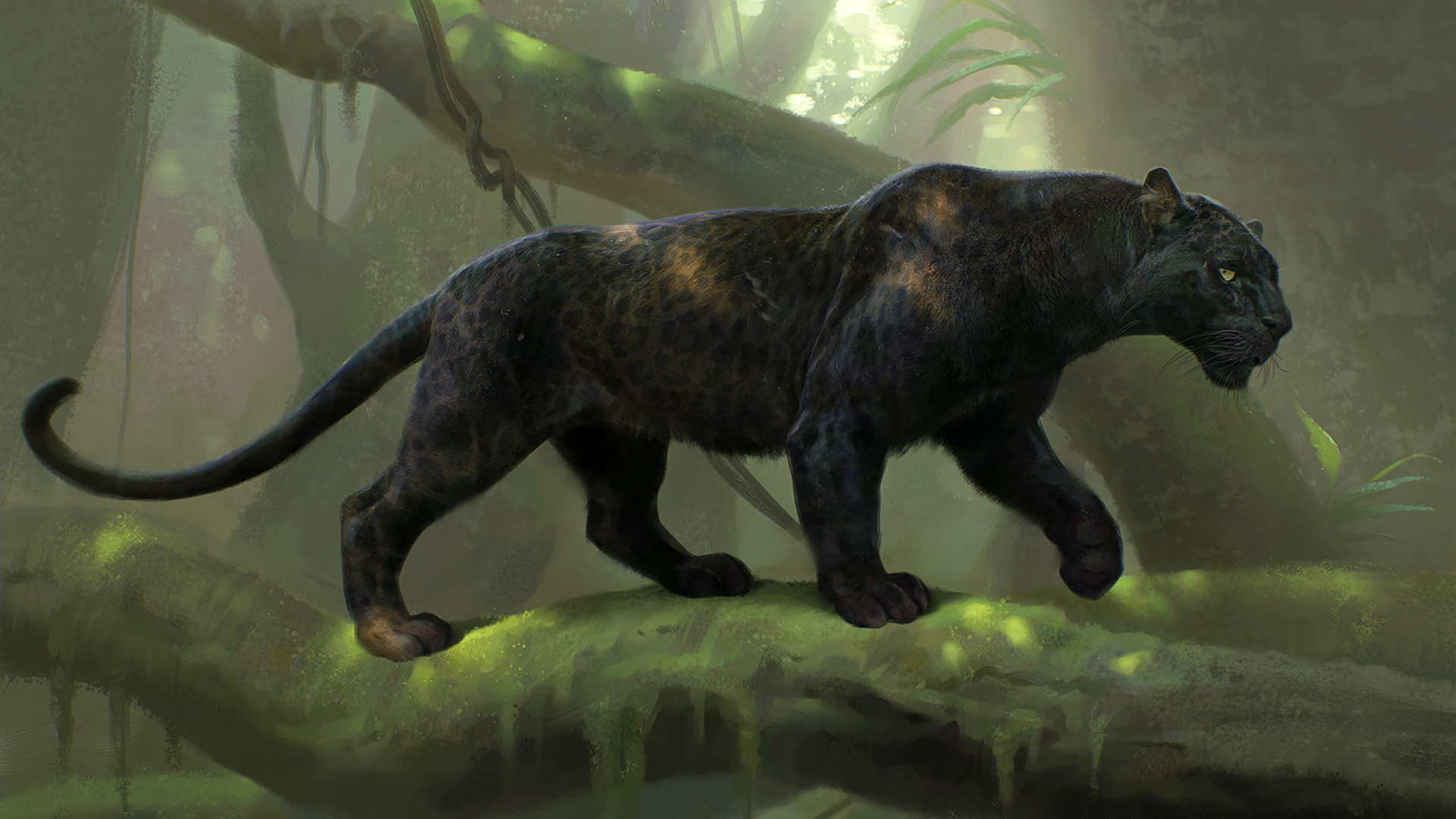 Download Bagheera Black Panther Movie The Jungle Book (2016)  HD Wallpaper by Michael Kutsche