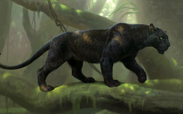 Movie The Jungle Book (2016) The Jungle Book Black Panther Bagheera HD Wallpaper | Background Image