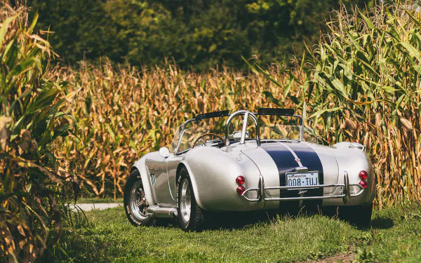 vehicle AC Cobra Shelby Cobra HD Desktop Wallpaper | Background Image